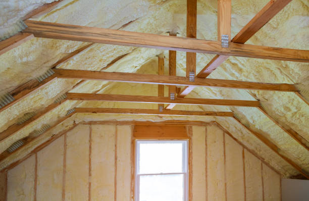 Best Sustainability and Green Building in Decatur, MI