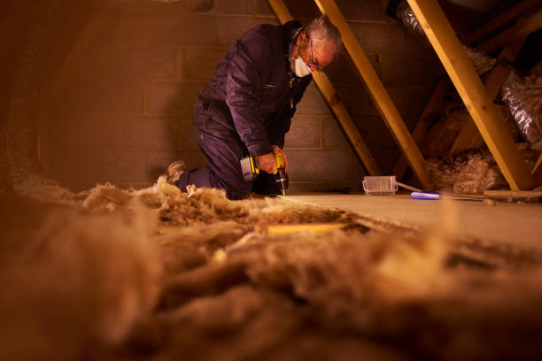 Best Insulation Maintenance and Repair in Decatur, MI